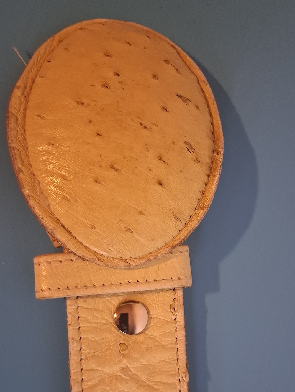 Genuine Ostrich Leather Belt Loop Accessory in Tan - Home Accents
